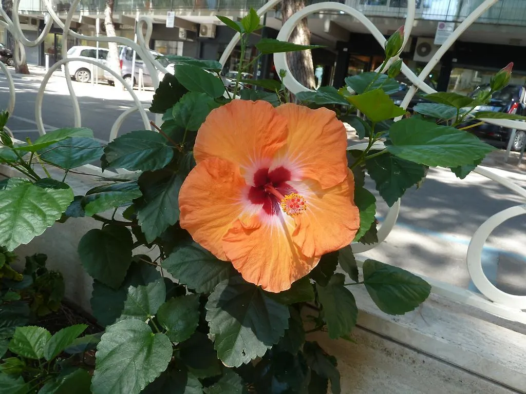 Hotel Astra Milano Marittima